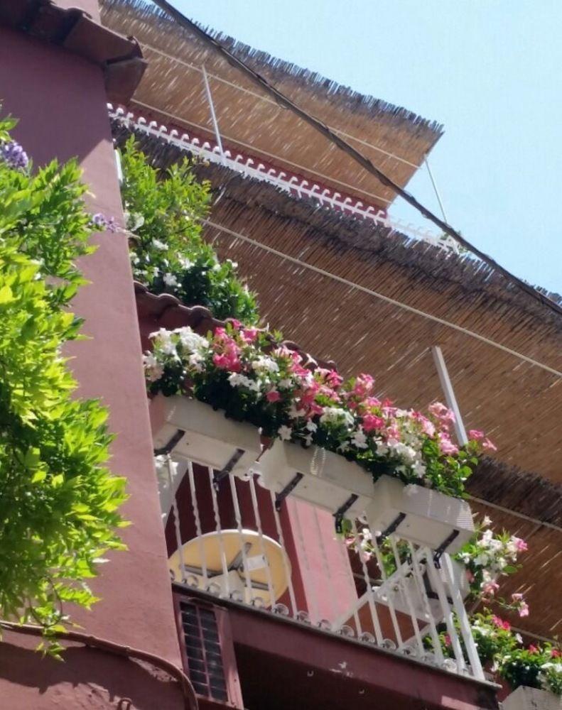 Villa La Tartana Positano Eksteriør billede